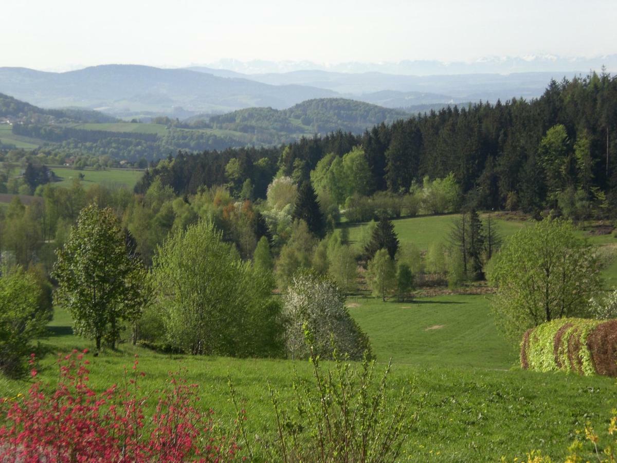 Ferienwohnungen Pichler Hohenau Extérieur photo